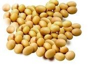 Soybean P.E.