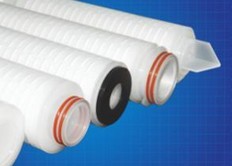 DLM Series-PTFE Pleated Filter Cartridge