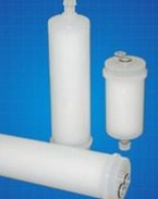 DL829 Capsule Filter