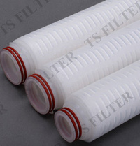 IPF Series Hydrophobic PTFE Membrane Filter