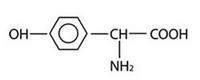 D(-)Alpha Parahydroxy Phenyglycine Base