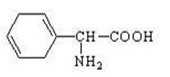 D-Dihydrophenylglycine Base