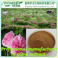 Rose flavones, Rose extract