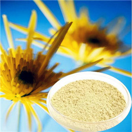 Chrysanthemum Extract