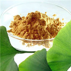 Ginkgo Biloba Extract