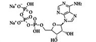 ATP Sodium Salt  (Adenosine 5'-triphosphate disodium salt) 