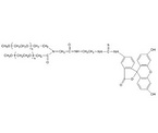 Y-shape (MPEG20K)2 Fluorescein isothiocyanate