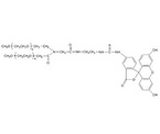 Y-shape (MPEG20K)2 Fluorescein isothiocyanate