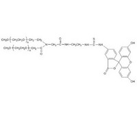 Y-shape (MPEG20K)2 Fluorescein isothiocyanate