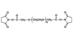 PEG (Succinimidyl Carboxymethyl Ester)2