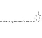 Methoxy PEG Biotin