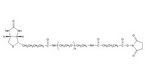 Biotin PEG Succinimidyl Glutaramide