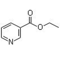 3-Picolinic acid ethyl ester