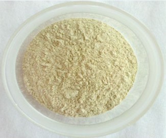 Panax Notoginseng Roots Extract