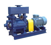 2BE1_202 Water-ring Pump
