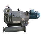 LG55 Uniform Pitch Screw Vacuum Pump