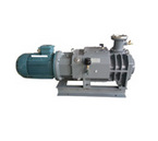 LGB110 Variable Pitch Screw Vacuum Pump