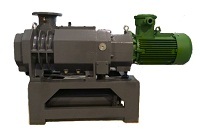 LG100 Uniform Pitch Screw Vacuum Pump