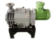 LGB150 Variable Pitch Screw Vacuum Pump