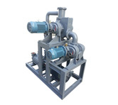 ZJ300-ZJ150-2SK6 Roots Water-ring Vacuum Units