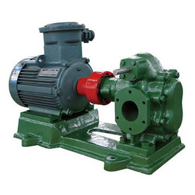 2CY Dual Pinion Gear Pump