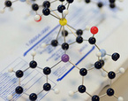 Catalysts for Chemical Processes, Fine Chemicals and Pharmaceuticals