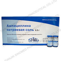 Cephradine powder for Injection