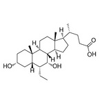 Obeticholic Acid