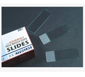Microscope Slides 4