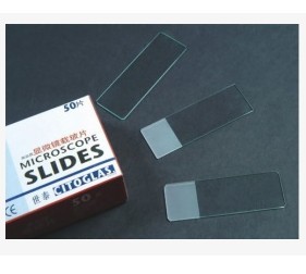 Microscope Slides 4