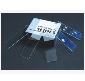 Microscope Slides 3