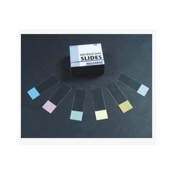 Microscope Slides 5 