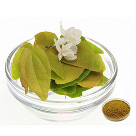 Epimedium Extract