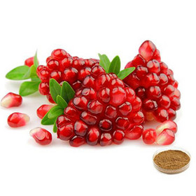 Pomegranate Extract