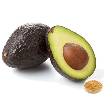 Avocado Extract