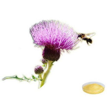 Milk Thistle Extract Powder