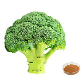 Broccoli Extract