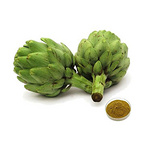 Artichoke Extract