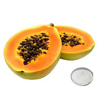 Papaya Extract