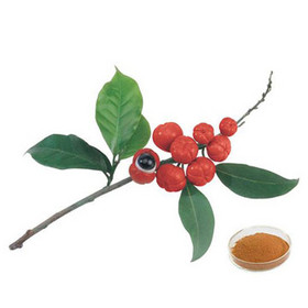 Guarana Extract