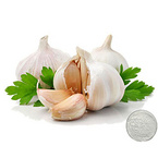 Garlic Extract