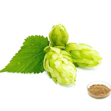 Hops Extract