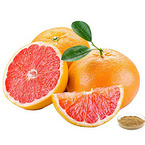 Grapefruit Seed Extract