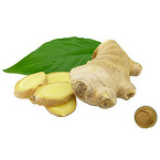 Ginger Root Extract