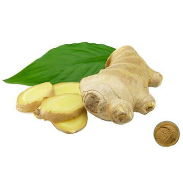 Ginger Root Extract