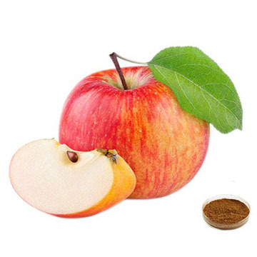 Apple Extract