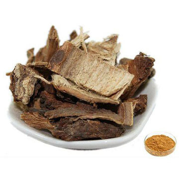 Slippery Elm Bark Extract