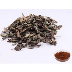 Baijiang Extract