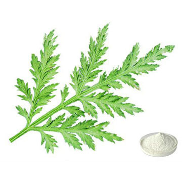 Annual Artemisia Extract