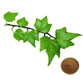 Hedera Helix Extract